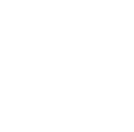 Trakya Dış Ticaret İstihbarat Merkezi Logo